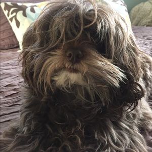 Meet your Posher, Cherie